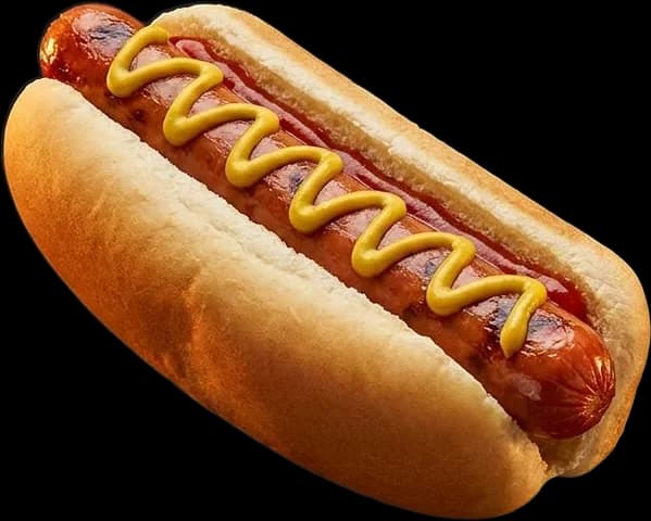 New York style hot dog with mustard zigzag